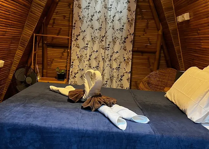 The Backyard Hostel *