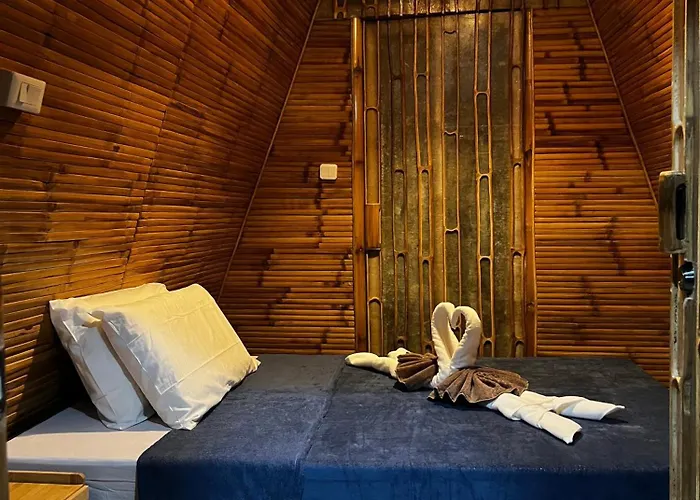 The Backyard Hostel *