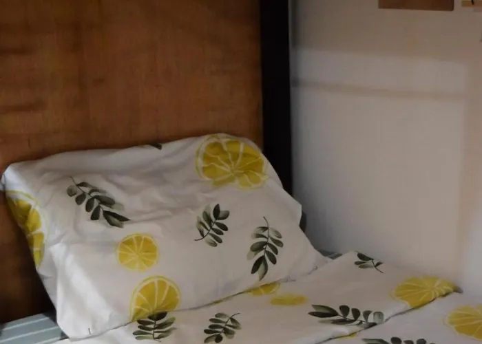 The Backyard Hostel