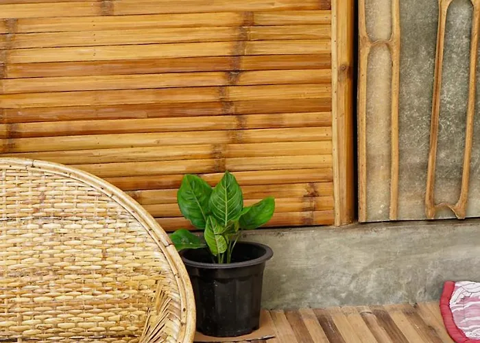 The Backyard Hostel