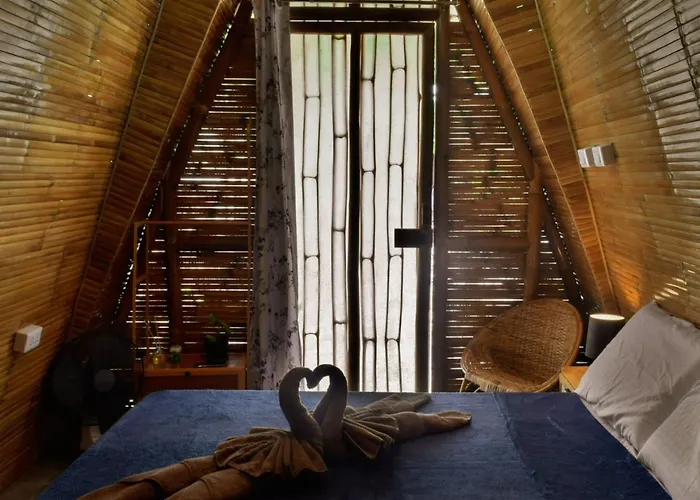 The Backyard Hostel *
