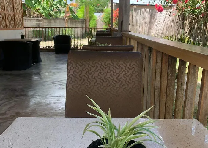 The Backyard