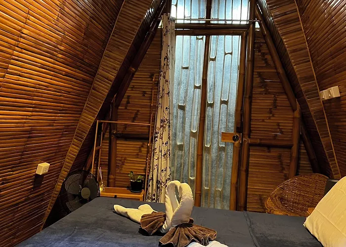 The Backyard Hostel