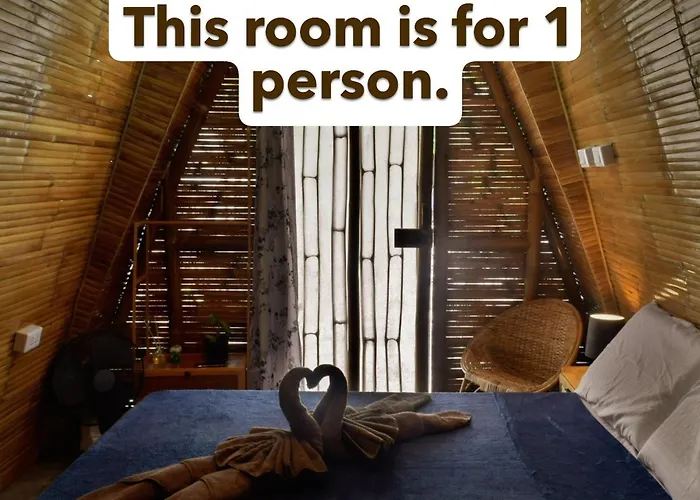 The Backyard Hostel Moalboal